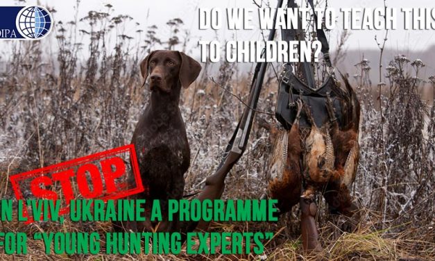 A COURSE FOR “YOUNG HUNTING EXPERTS” OPENS IN L’VIV, UKRAINE. OIPA AND OTHER ASSOCIATIONS APPEAL TO THE MINISTRY OF EDUCATION AND SCIENCE