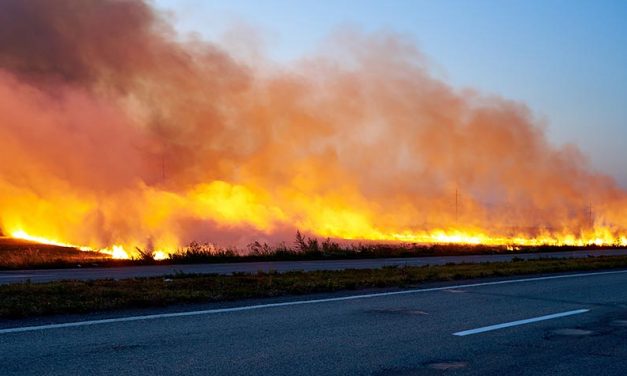 WILDFIRES ARE EXPECTED TO RISE BY 50% BY THE END OF THE CENTURY: THE SAD STATEMENT OF A NEW REPORT PUBLISHED BY THE UN ENVIRONMENT PROGRAMME