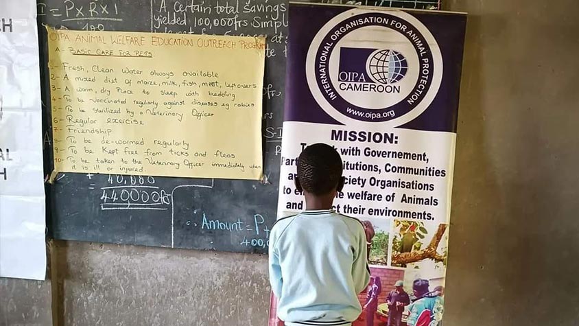 OIPA CAMEROON PROMOTES EDUCATIONAL PROGRAMMES ON ANIMAL WELFARE
