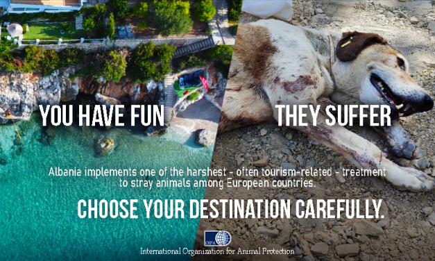 “YOU HAVE FUN, THEY SUFFER. CHOOSE YOUR DESTINATION CAREFULLY”: THINK ABOUT ANIMAL WELFARE NEXT TIME (ALBANIA)