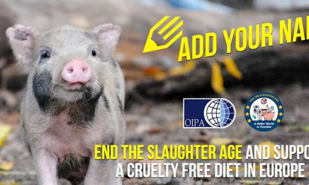 “END THE SLAUGHTER AGE” – SIGN TO SAVE FARMED ANIMALS AND ASK FOR A CRUELTY FREE DIET IN EUROPE