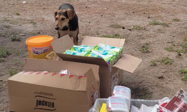 EMERGENCY UKRAINE: UPDATES ON ANIMALS HELPED IN SEPTEMBER AND OCTOBER