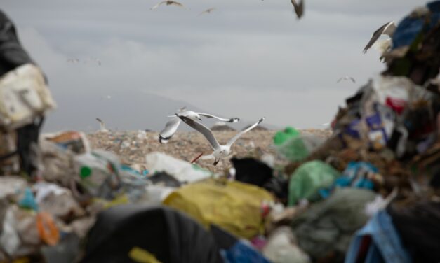 OIPA IS MEMBER OF THE GLOBAL WASTE CLEANING NETWORK (GWCN)