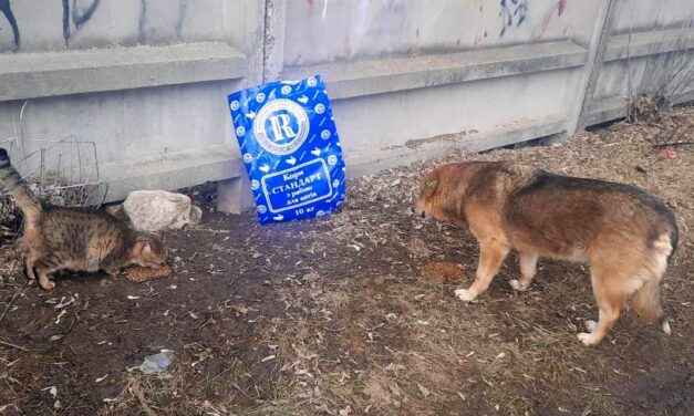 EMERGENCY UKRAINE: THE UKRAINE WAR STANDS, OIPA INTERNATIONAL HAS NEVER CEASED TO HELP ANIMALS