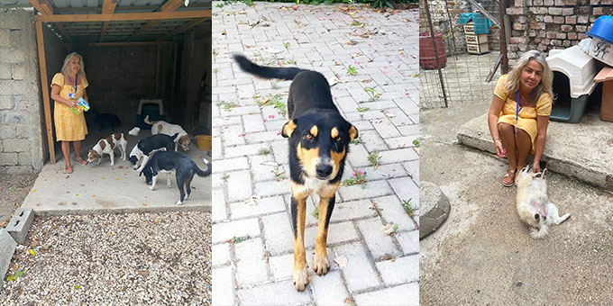 OUR VOLUNTEER IN VLORE DEDICATES HER LIFE TO HELP ALBANIAN STREET DOGS