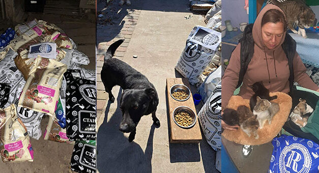 OVER 1.5 TONS OF FOOD DISTRIBUTED TO DOGS AND CATS IN NIKOPOL, VILNOHIRSK AND BOYARKA