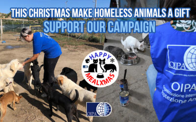 HAPPY MEAL XMAS! THIS CHRISTMAS, DONATE A MEAL TO HOMELESS ANIMALS