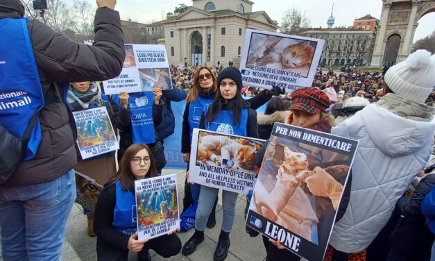 FOR LEONE, ARON AND ALL ANIMALS, HELPLESS VICTIMS OF HUMAN CRUELTY. PROTEST IN MILANO, ITALY