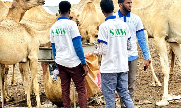 WELCOME TO SAWS, A NON-PROFIT ORGANIZATION COMMITTED TO THE WELFARE AND PROTECTION OF ANIMALS IN SOMALIA