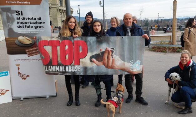 SWISS ANIMAL RIGHT ASSOCIATIONS AND CITIZENS CALL FOR A BAN ON FUR AND FOIE GRAS IMPORTS