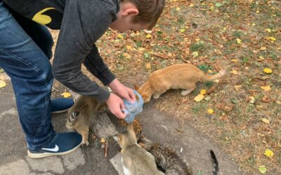 RELIEF EFFORTS FOR ANIMALS IN MYKOLAIV AND VILHNOVISK