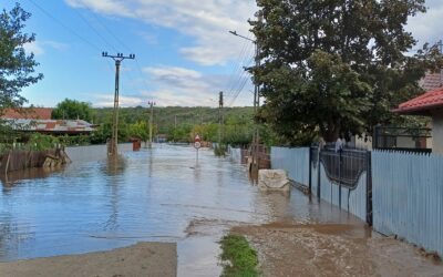 FLASH FLOODING IN GALATI, EMERGENCY RESPONSE FOR AFFECTED ANIMALS