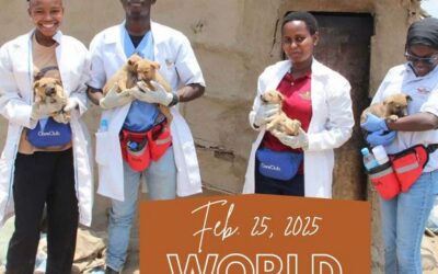 World Spay Day: the hard work of OIPA’s member league Meru Animal Welfare in Tanzania