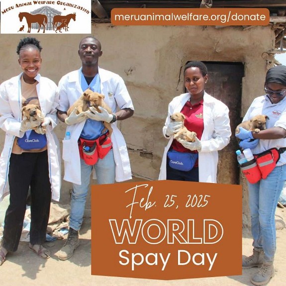 World Spay Day: the hard work of OIPA’s member league Meru Animal Welfare in Tanzania