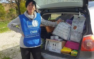 Gli angeli blu dell’OIPA ancora in aiuto sui luoghi del terremoto: diversi i gatti recuperati e in cerca di adozione.