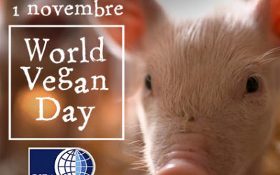 WORLD VEGAN DAY: CELEBRIAMO LA GIORNATA MONDIALE VEGANA E PROMUOVIAMO IL RISPETTO PER LA VITA DEGLI ANIMALI