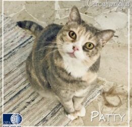 Patty (Milano)