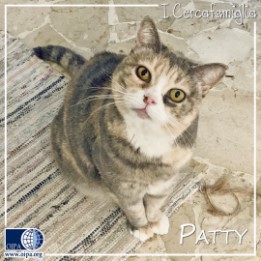 Patty (Milano)