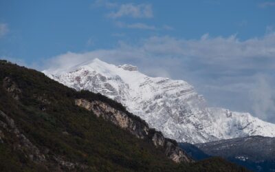 RUNNER MORTO. OIPA: «INVITIAMO TUTTI A UNA MAGGIORE PRECAUZIONE NELL’ESPRIMERE CERTEZZE, QUANDO NON VE NE SONO»