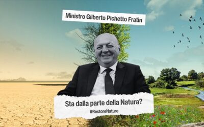 NATURE RESTORATION LAW. 28 ASSOCIAZIONI SCRIVONO AL MINISTRO PICHETTO FRATIN