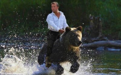 ELEZIONI TRENTO. OIPA: «UN CANDIDATO INNEGGIA ALLE GRIGLIATE D’ORSO IN UN POST SOCIAL IN CUI COME UN COWBOY CAVALCA UN ORSO AL GALOPPO»