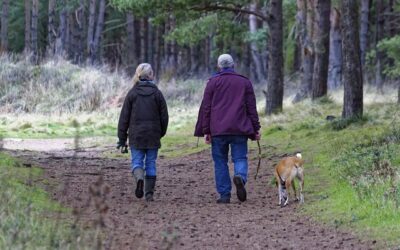 LA COPPIA SCOPPIA: CHE ACCADE ALL’ANIMALE DI FAMIGLIA? L’OIPA RISPONDE