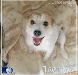 Trottina (Benevento)