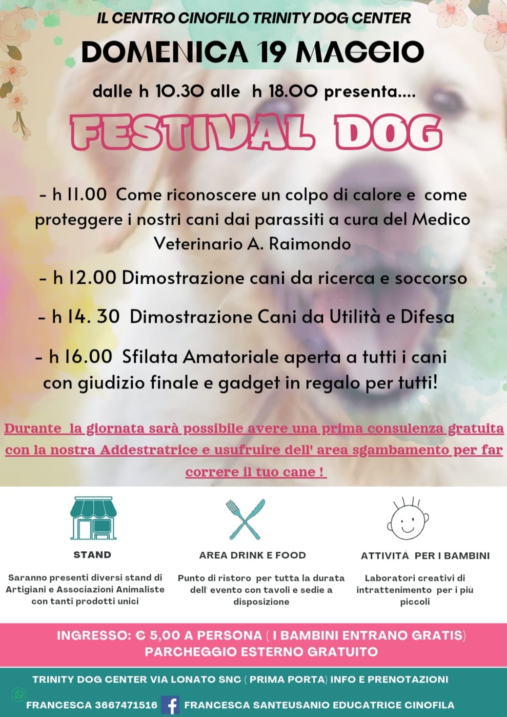 ROMA – FESTIVAL DOG