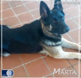 Marta (Massa Carrara)
