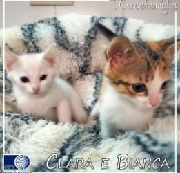 Clara e Bianca (Castellammare del Golfo – TP)