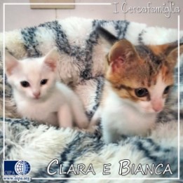 Clara e Bianca (Castellammare del Golfo – TP)