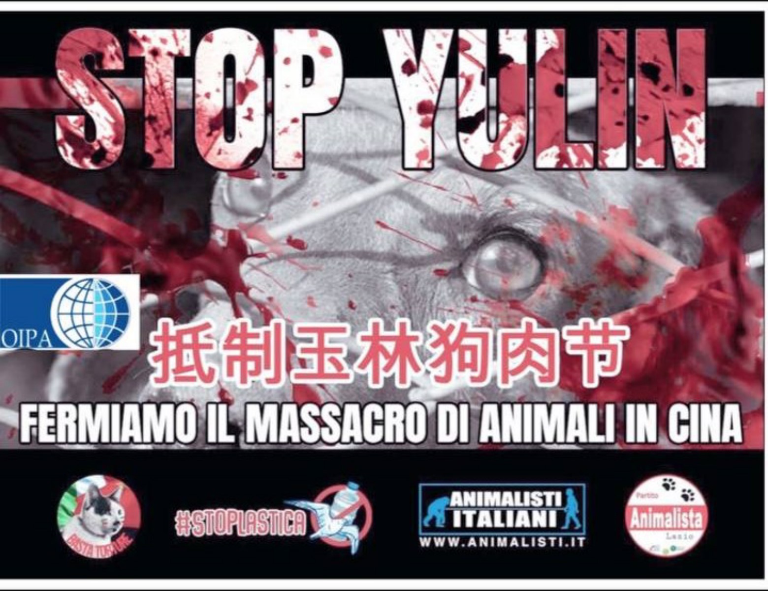 ROMA – STOP YULIN: FERMIAMO IL MASSACRO DI ANIMALI IN CINA