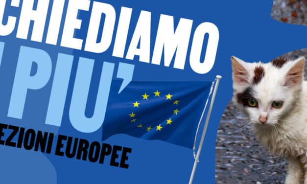 VOTA PER GLI ANIMALI 2024: PER LE ELEZIONI EUROPEE CHIEDIAMO DI PIÙ