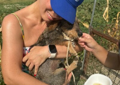 cane in braccio a volontaria