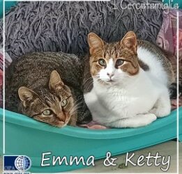 I CERCAFAMIGLIA: KETTY E EMMA – ADOZIONE DEL CUORE