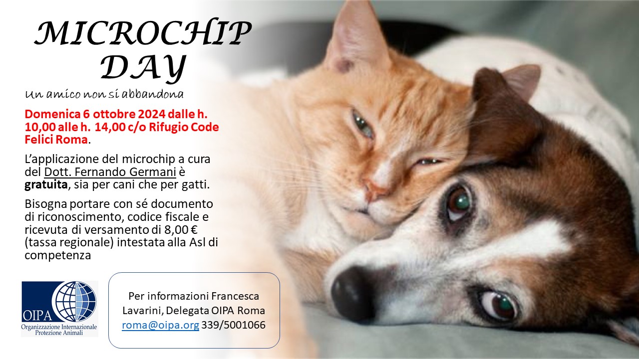 Roma – Microchip day