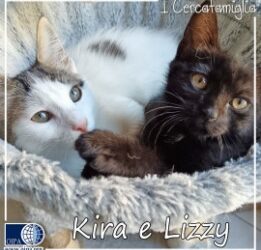 I CERCAFAMIGLIA: KIRA E LIZZI