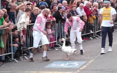 STOP AL PALIO DELL’OCA DI LACCHIARELLA (MI): PARTECIPA AL MAILBOMBING PER DIRE BASTA AGLI ANIMALI SFRUTTATI NEGLI SPETTACOLI