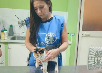 gattina dal veterinario con volontaria oipa