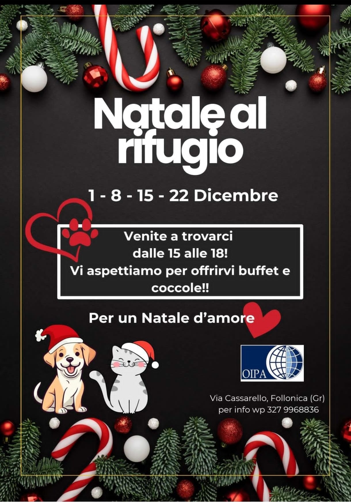 Follonica (GR) – Natale al rifugio di Nella