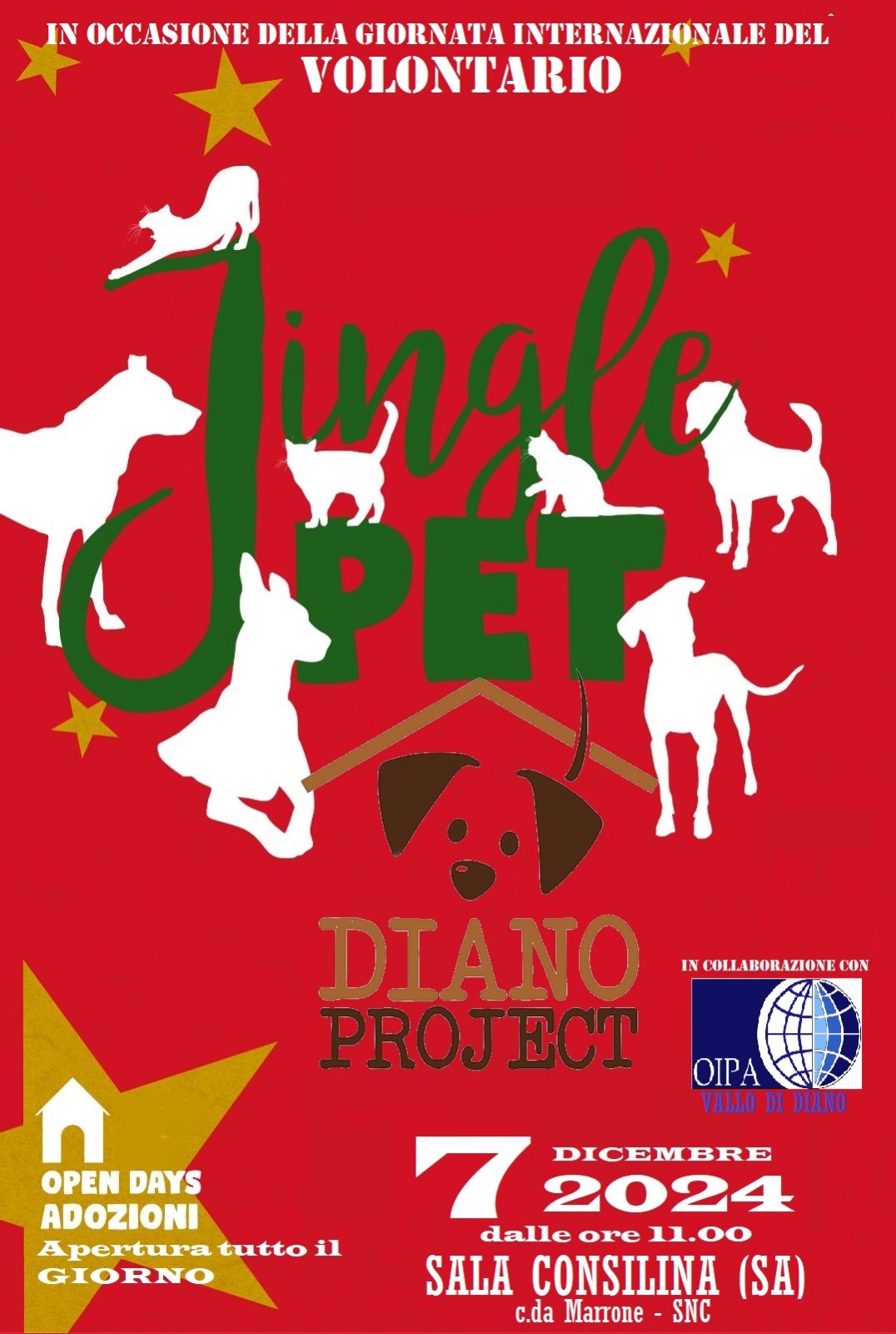 Sala Consilina (SA) – “Jingle pet”: open day adozioni al canile Diano Project