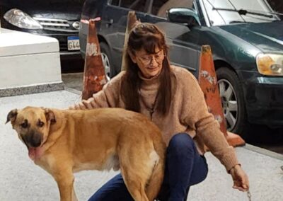 cane arrivato dal Libano in aeroporto