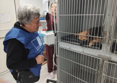 volontaria oipa in clinica con cagnolina ricoverata