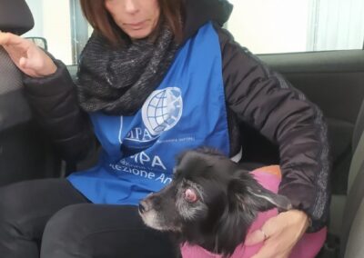 cagnolina anziana malata aiutata dai volontari OIPA