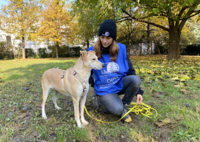 cane ron quasi cieco e volontaria oipa milano