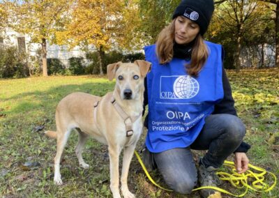 cane ron quasi cieco e volontaria oipa