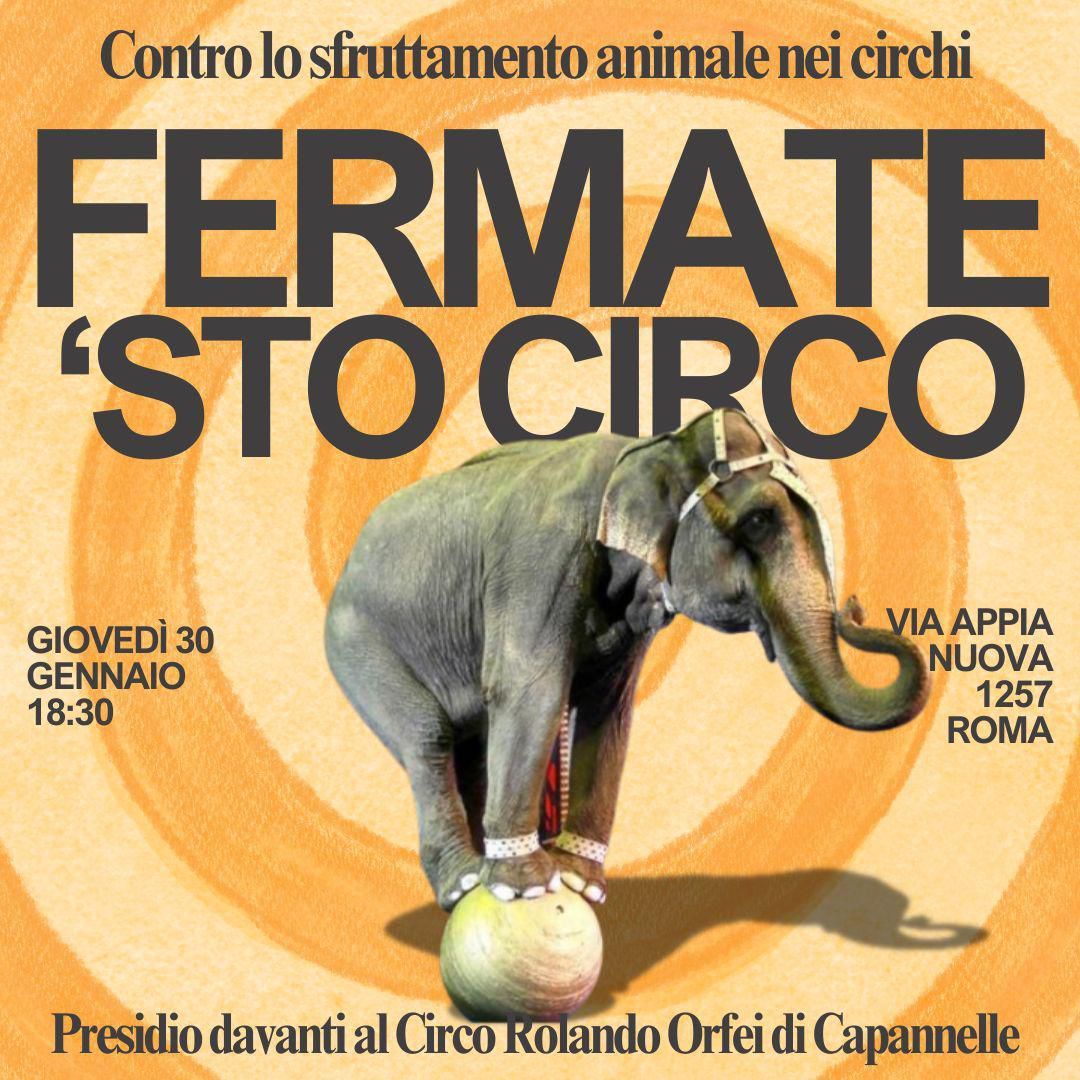 Roma – Presidio contro il circo Rolando Orfei