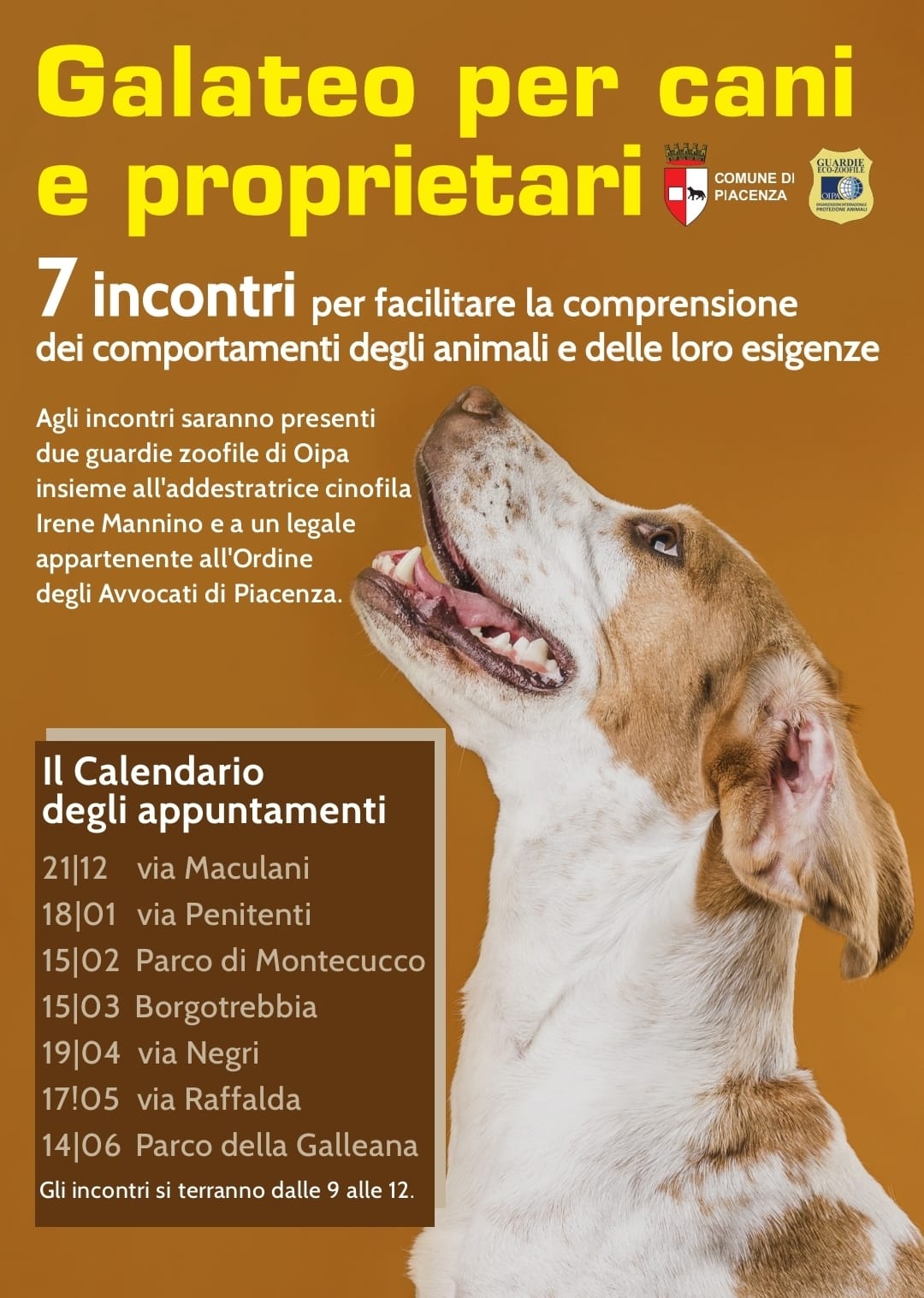 Piacenza – Galateo per cani e proprietari