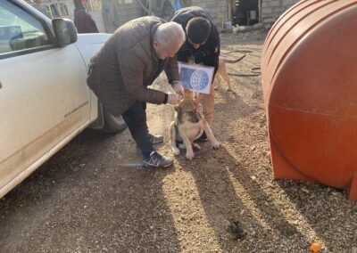 cane randagio in Kurdistan aiuti di OIPA International