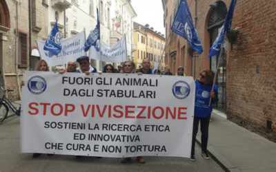 L’OIPA in piazza a Ferrara per chiedere la liberazione dei macachi dell’Università Unife